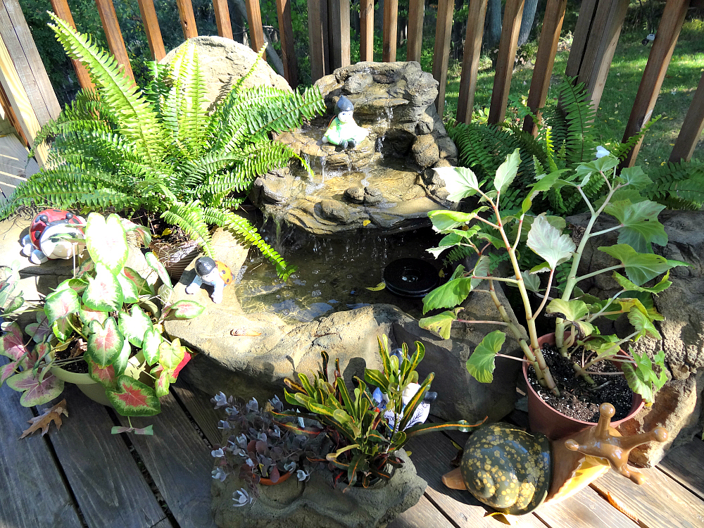Patio Pond Backyard Waterfall Kits & Garden Water Fountains