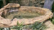 Large Koi Fish Backyard Garden Rock Pond
